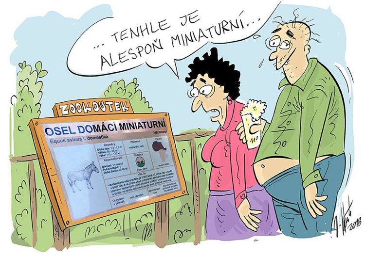 FOTOGALERIE: První v únoru středa, humoru a legrace je třeba