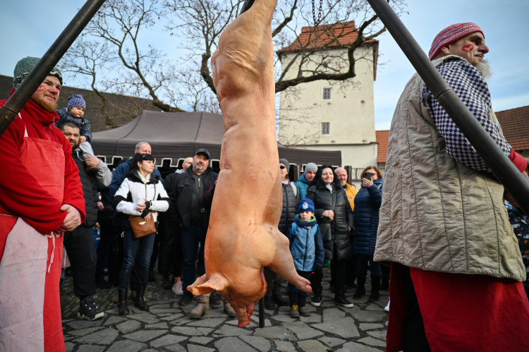 FOTOGALERIE: Masopustní veselí zasáhlo Slezskoostravský hrad. Zabíjačka i maškary