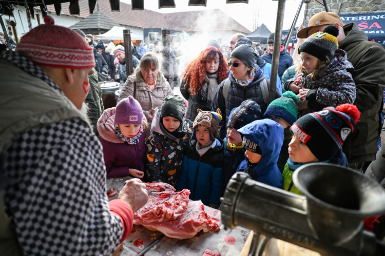 FOTOGALERIE: Masopustní veselí zasáhlo Slezskoostravský hrad. Zabíjačka i maškary