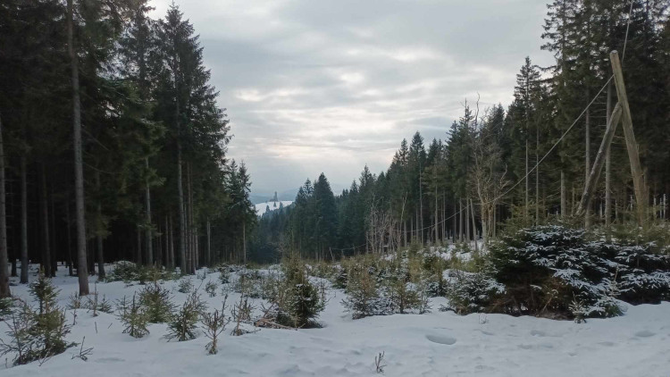 FOTOGALERIE: Krásné výhledy, tajemná rozhledna, borůvkové knedlíky