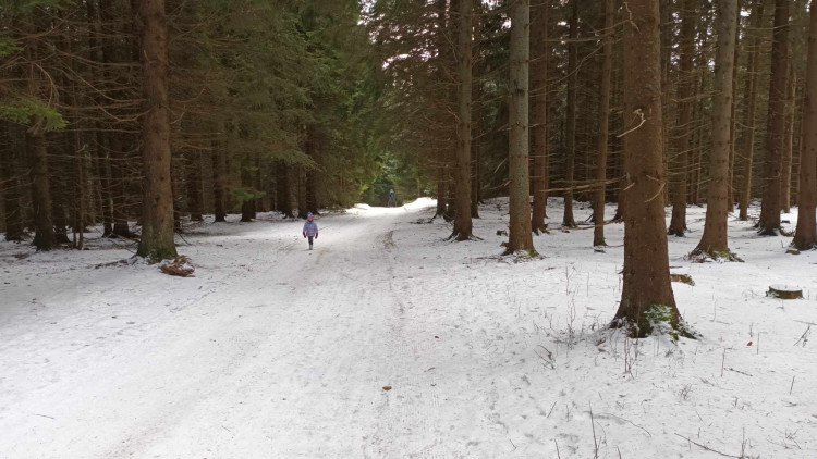 FOTOGALERIE: Krásné výhledy, tajemná rozhledna, borůvkové knedlíky