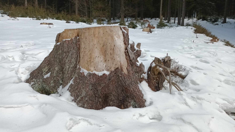 FOTOGALERIE: Krásné výhledy, tajemná rozhledna, borůvkové knedlíky
