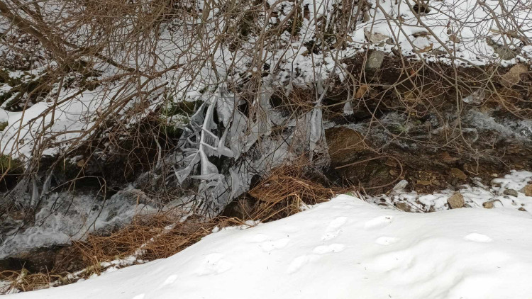 FOTOGALERIE: Krásné výhledy, tajemná rozhledna, borůvkové knedlíky