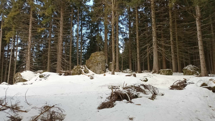 FOTOGALERIE: Krásné výhledy, tajemná rozhledna, borůvkové knedlíky