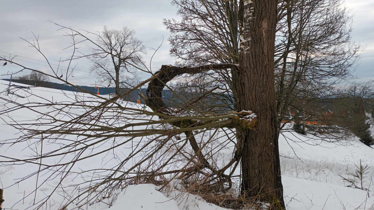 FOTOGALERIE: Krásné výhledy, tajemná rozhledna, borůvkové knedlíky