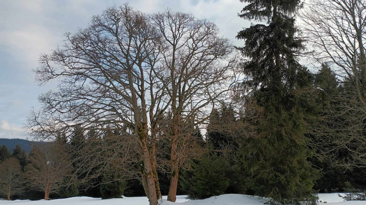 FOTOGALERIE: Krásné výhledy, tajemná rozhledna, borůvkové knedlíky