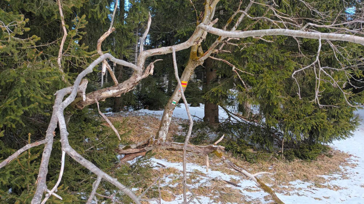 FOTOGALERIE: Krásné výhledy, tajemná rozhledna, borůvkové knedlíky