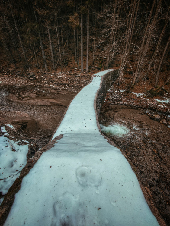 FOTOGALERIE: Poniklý a Borový vodopád v Jeseníkách. Seznamte se