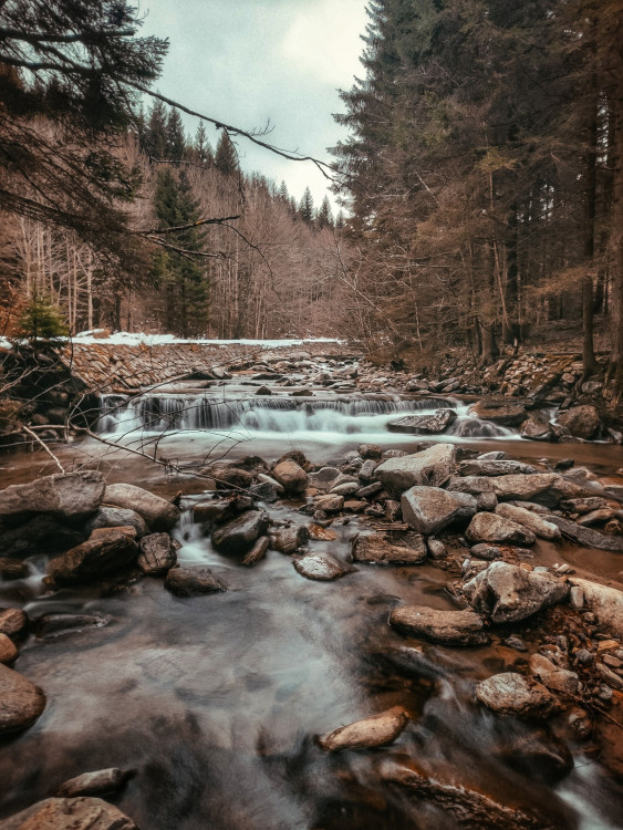 FOTOGALERIE: Poniklý a Borový vodopád v Jeseníkách. Seznamte se