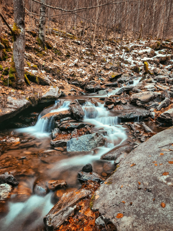 FOTOGALERIE: Poniklý a Borový vodopád v Jeseníkách. Seznamte se
