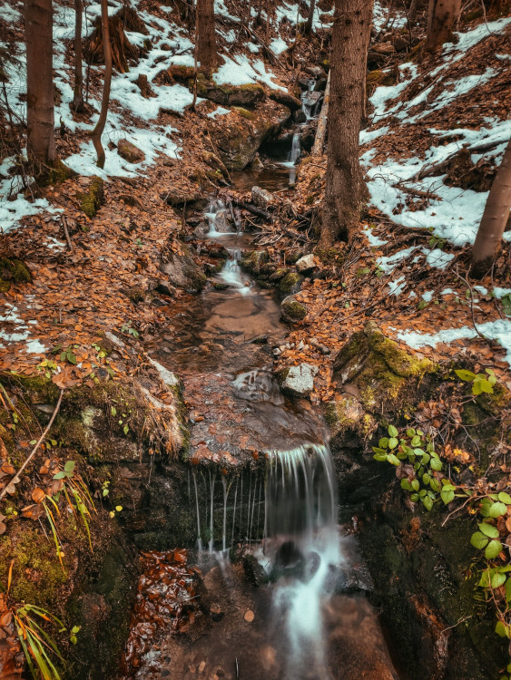 FOTOGALERIE: Poniklý a Borový vodopád v Jeseníkách. Seznamte se