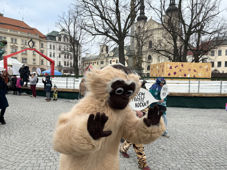 Jihlavský masopust 2025