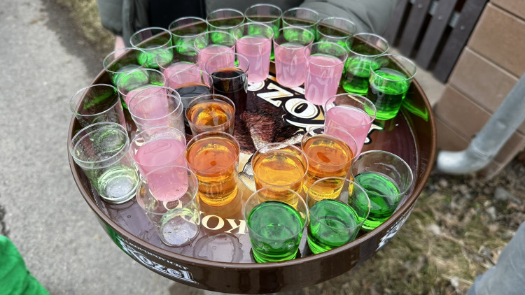 FOTOGALERIE: Masopust ve Skelné Huti 2025