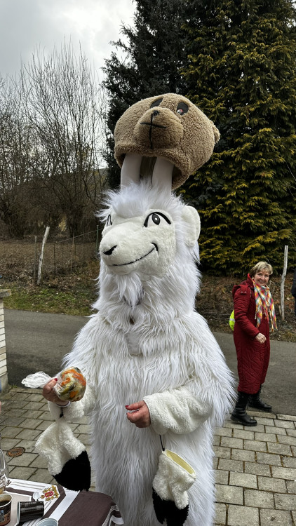 FOTOGALERIE: Masopust ve Skelné Huti 2025