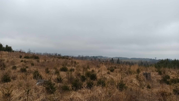 FOTOGALERIE: Krásná příroda v okolí vrcholu Skalky