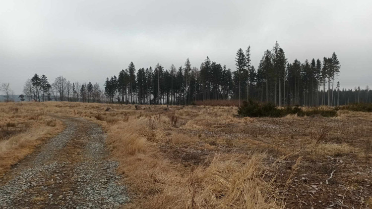 FOTOGALERIE: Krásná příroda v okolí vrcholu Skalky