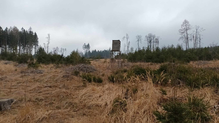 FOTOGALERIE: Krásná příroda v okolí vrcholu Skalky
