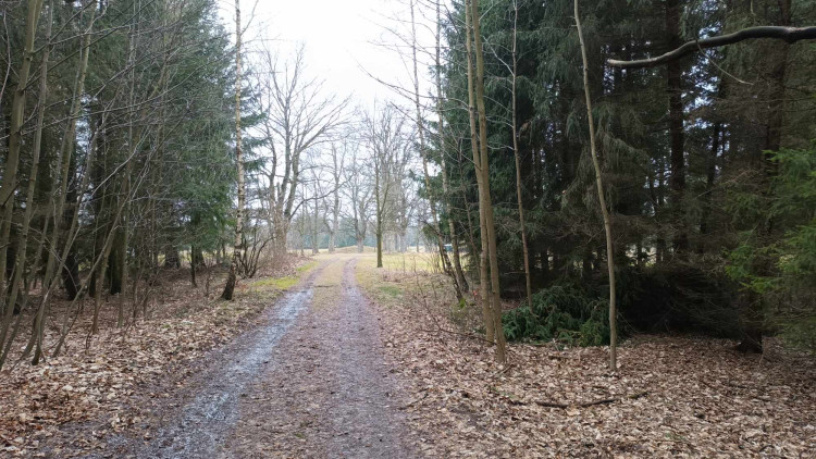 FOTOGALERIE: Krásná příroda v okolí vrcholu Skalky