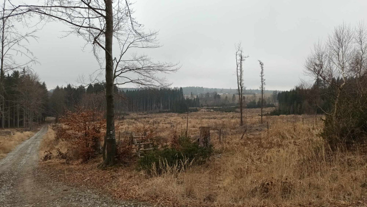 FOTOGALERIE: Krásná příroda v okolí vrcholu Skalky