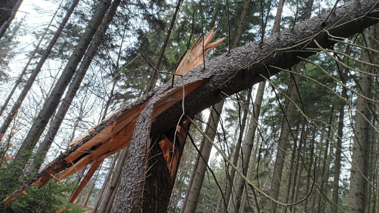 FOTOGALERIE: Krásná příroda v okolí vrcholu Skalky