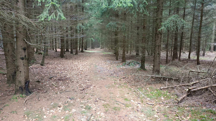 FOTOGALERIE: Krásná příroda v okolí vrcholu Skalky