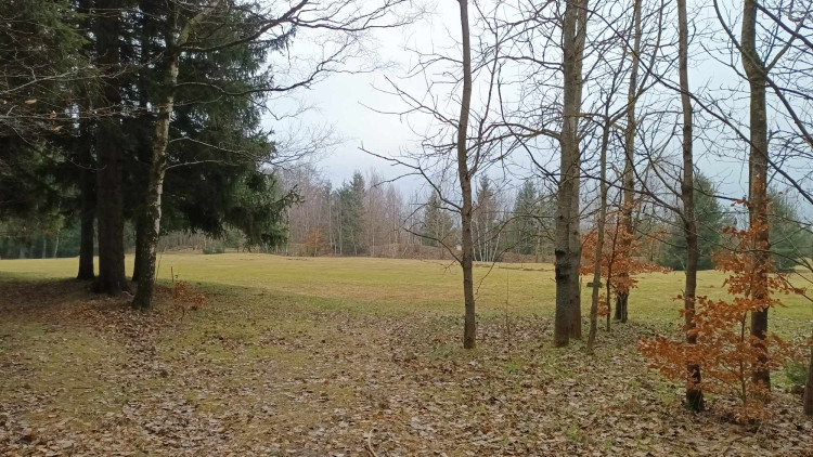 FOTOGALERIE: Krásná příroda v okolí vrcholu Skalky