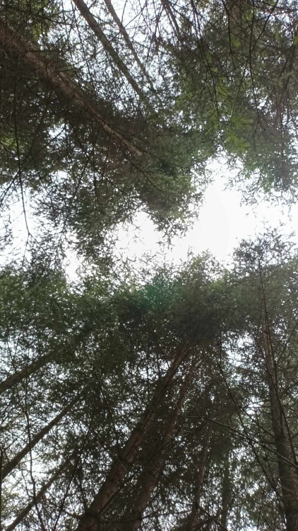 FOTOGALERIE: Krásná příroda v okolí vrcholu Skalky