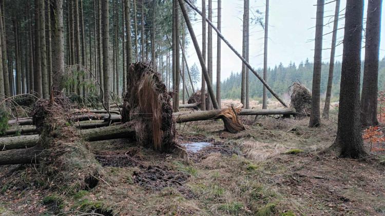 FOTOGALERIE: Krásná příroda v okolí vrcholu Skalky