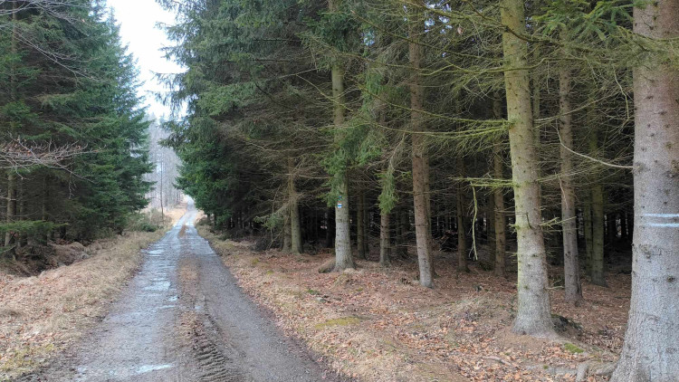 FOTOGALERIE: Krásná příroda v okolí vrcholu Skalky