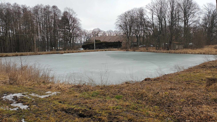 FOTOGALERIE: Krásná příroda v okolí vrcholu Skalky