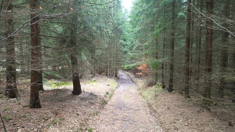 FOTOGALERIE: Krásná příroda v okolí vrcholu Skalky