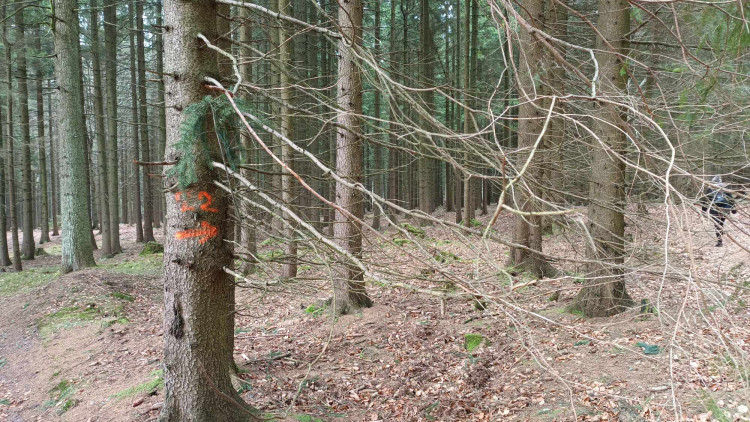 FOTOGALERIE: Krásná příroda v okolí vrcholu Skalky