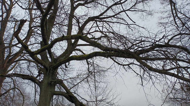 FOTOGALERIE: Krásná příroda v okolí vrcholu Skalky