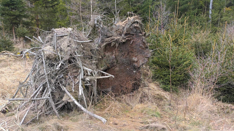 FOTOGALERIE: Krásná příroda v okolí vrcholu Skalky