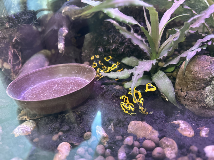 Jarní prázdniny v Zoo Jihlava