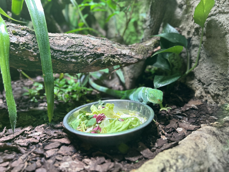 Jarní prázdniny v Zoo Jihlava