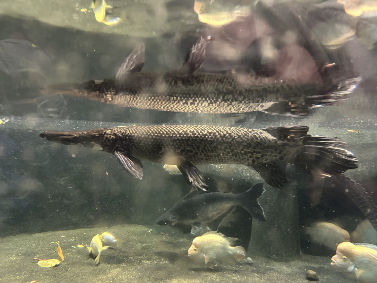 Jarní prázdniny v Zoo Jihlava