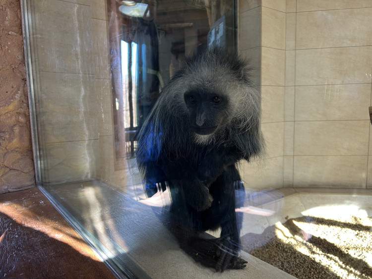 Jarní prázdniny v Zoo Jihlava