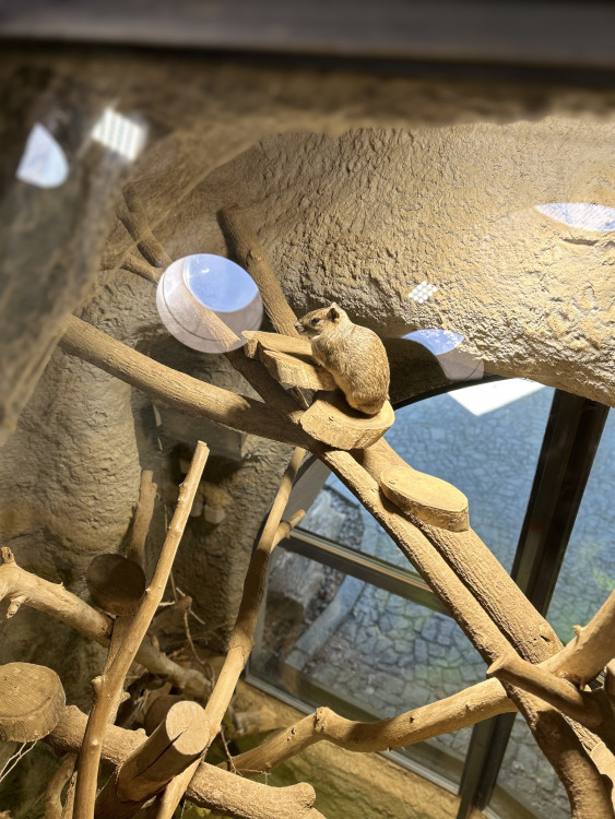 Jarní prázdniny v Zoo Jihlava