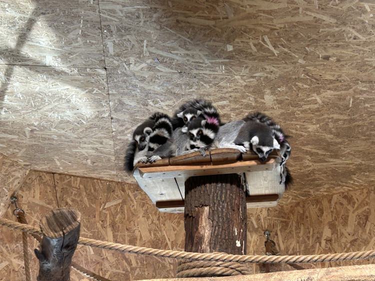 Jarní prázdniny v Zoo Jihlava