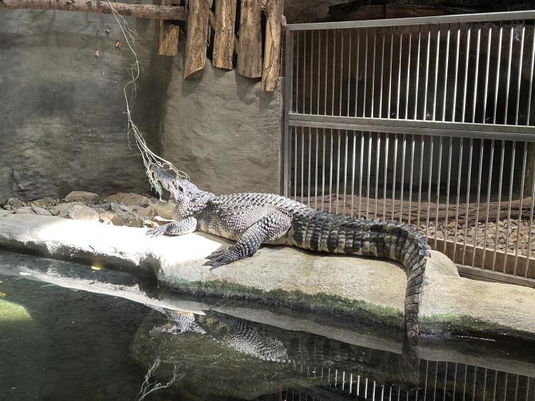 Jarní prázdniny v Zoo Jihlava