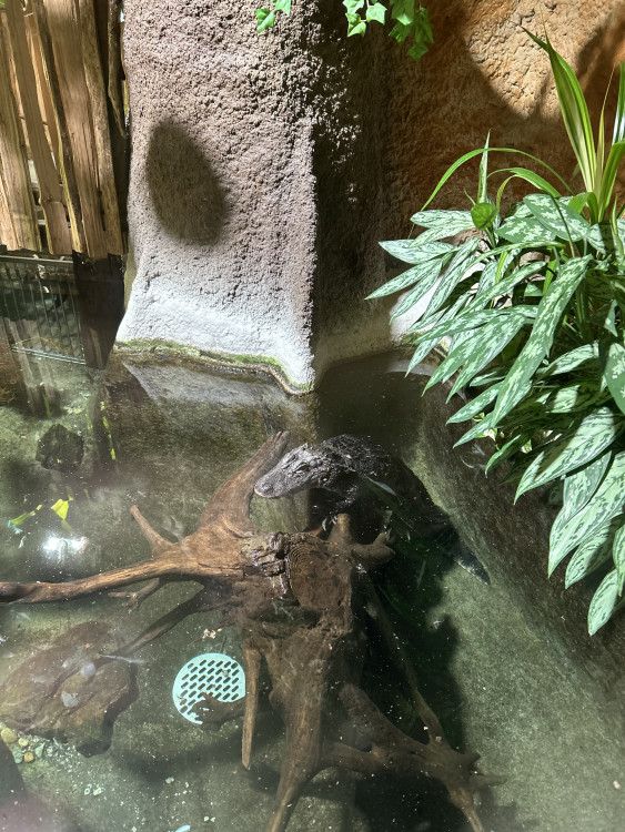 Jarní prázdniny v Zoo Jihlava