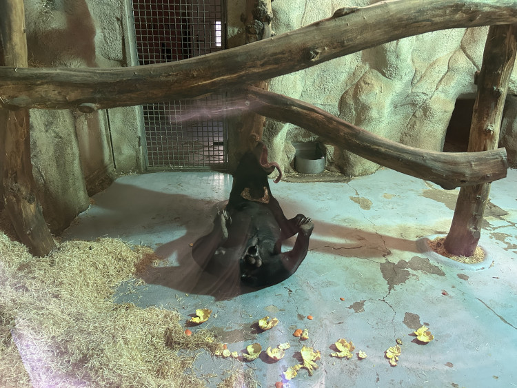 Jarní prázdniny v Zoo Jihlava