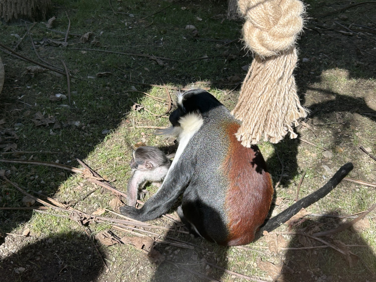 Jarní prázdniny v Zoo Jihlava