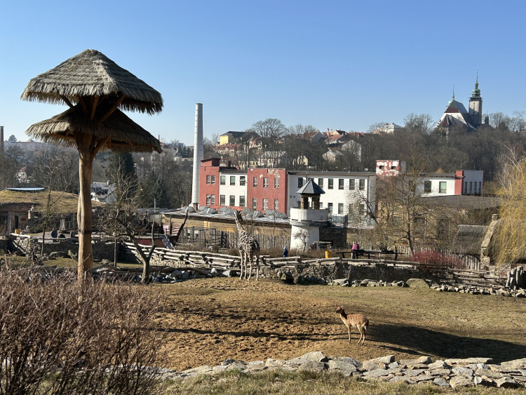 Jarní prázdniny v Zoo Jihlava