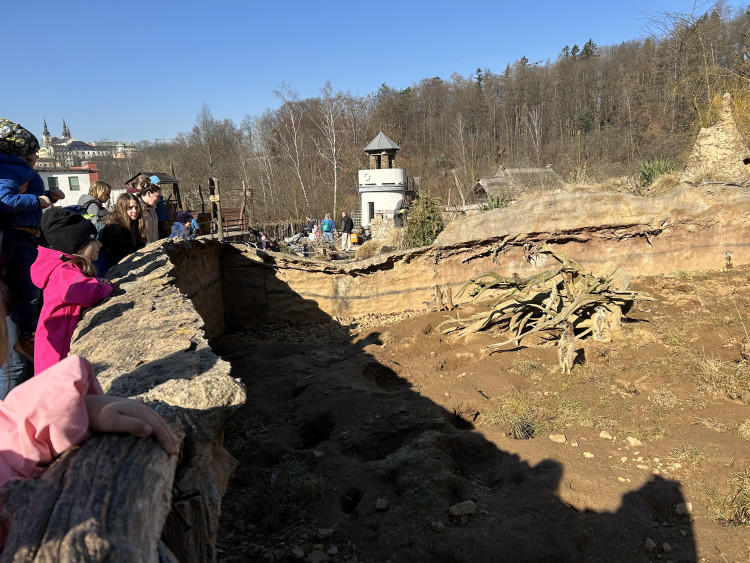 Jarní prázdniny v Zoo Jihlava