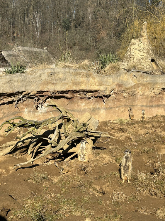 Jarní prázdniny v Zoo Jihlava