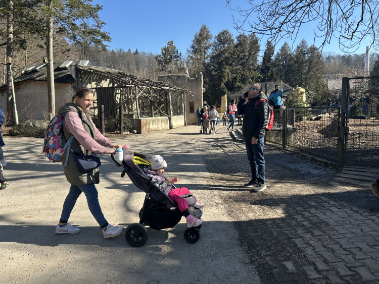 Jarní prázdniny v Zoo Jihlava