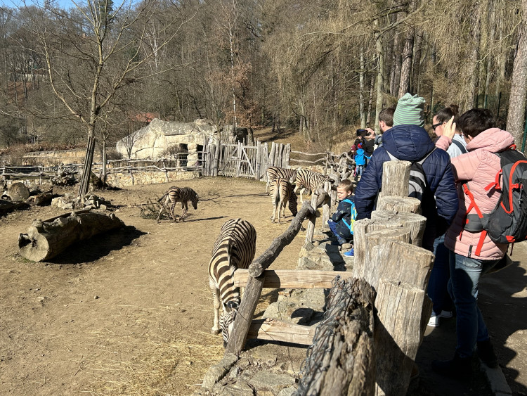 Jarní prázdniny v Zoo Jihlava