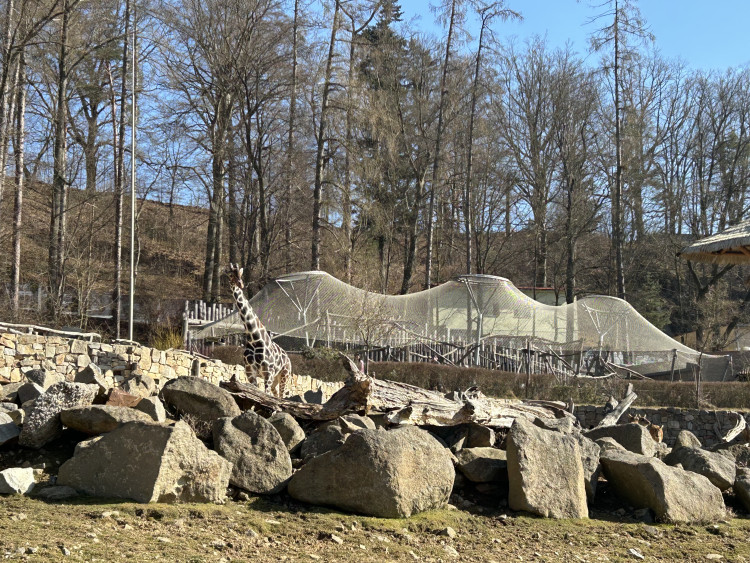 Jarní prázdniny v Zoo Jihlava